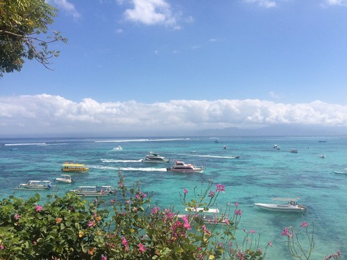 Bali Bali
