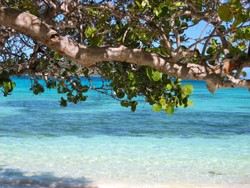 Strand Barbados